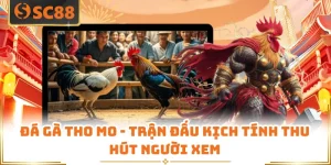 Đá Gà Tho Mo - Trận Đấu Kịch Tính Thu Hút Người Xem